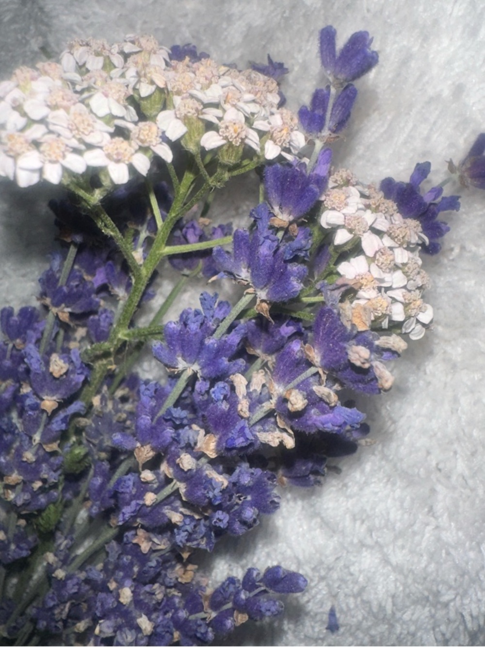 Real floral accents or full customized embroidery for your Tailored dress etc.